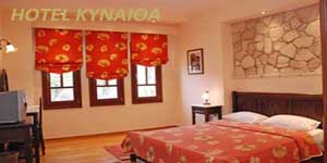 Css Template Preview